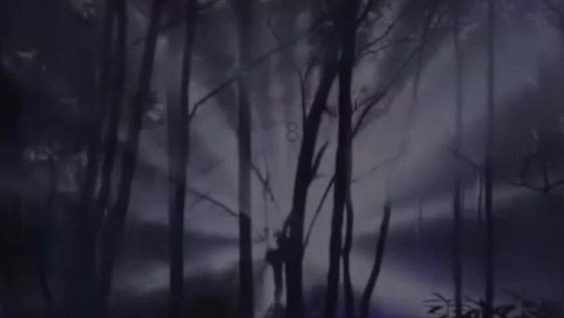 逃离神秘老林